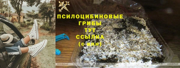 спиды Армянск