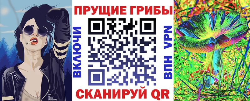 Псилоцибиновые грибы мицелий  Устюжна 